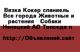 Вязка Кокер спаниель - Все города Животные и растения » Собаки   . Ненецкий АО,Топседа п.